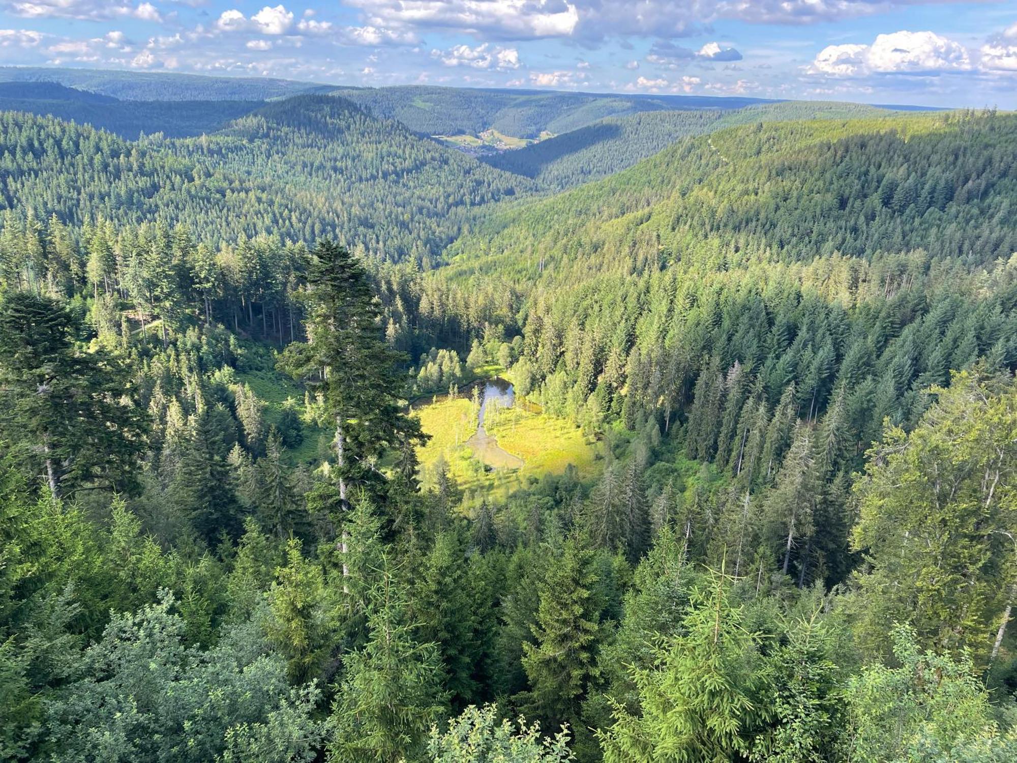 Casa Black Forest - Freudenstadt Kniebis 外观 照片